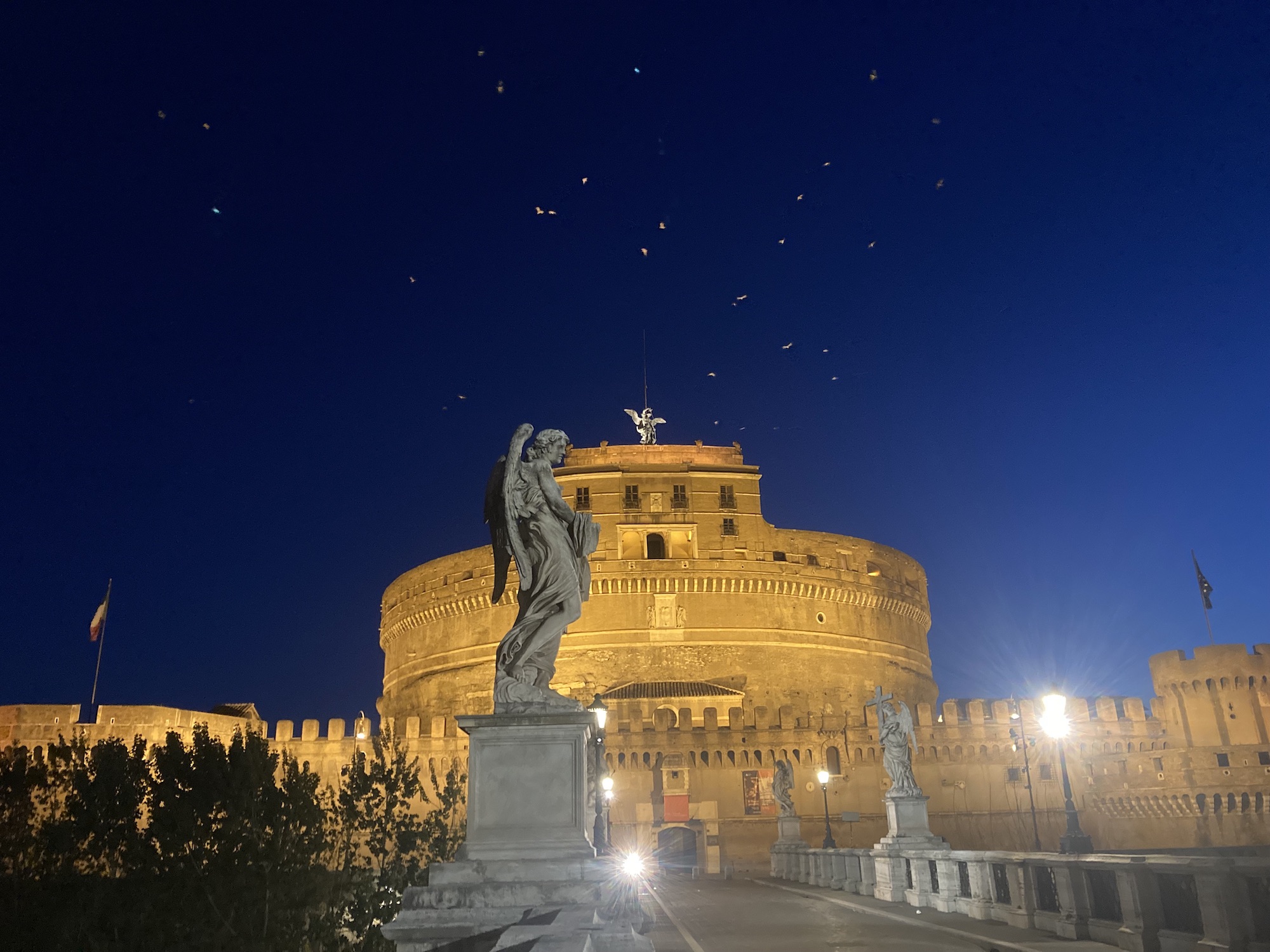 avvocati anglo-italiani a Roma